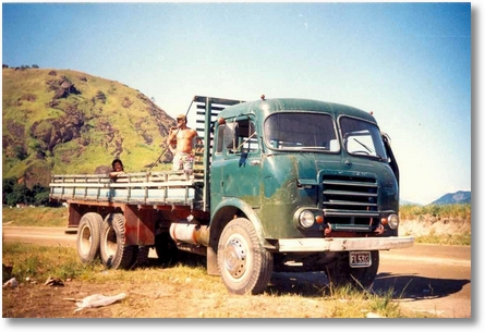 REINERTbrasinca verde