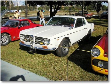 FNM BRASILIA ONÇA 15