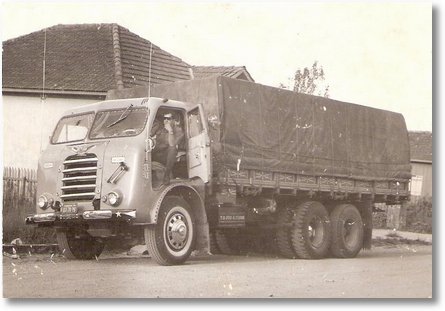 Dino Trovador 4 FNM 61