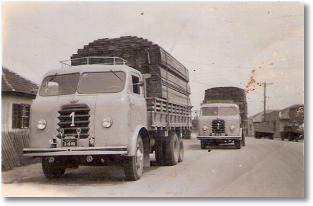 FNM n.º 1 ano 1965 e n.º 2 ano 1956 - João Bernardo Gosk (Iasko) Carga de madeira de Palmas para São Francisco do Sul