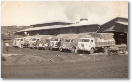 Clevelandia -PR - Madeireira Pratence - Paulo Bortolan, Dejanir Valaski, Adir Valaski e Afonso Sari