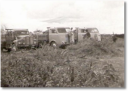 FNM 66 - Antonio Maoski (Tinindo) e FNM 63 - Ari Cardoso Lagoa - Grande - PE