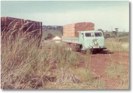 FNM 66 - Antonio Maoski (Tinindo) Mariópolis PR