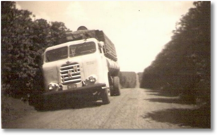 Nene Pichorim FNM 65