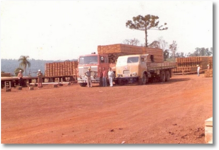 Proprietário Agenor Brandini Padilha - Carga de madeira em 7 Quedas - PR