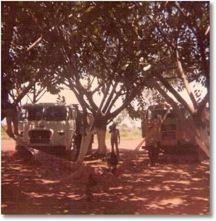 FNM 180-73 - Prop. Jo+úo Luiz Camargo e FNM 63 Prop. Ad+úo Mecanico em 1979 de GO para Brasilia