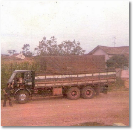 Dino Trovador 3 FNM 61