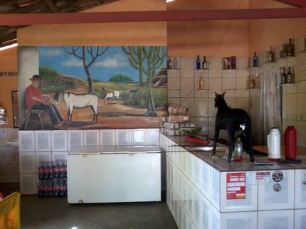 Restaurante Zé do Bode com suas comidas tipicas (1)